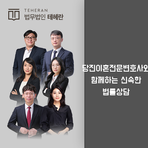 당진이혼전문변호사